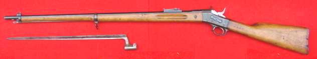Remington m/1867-89